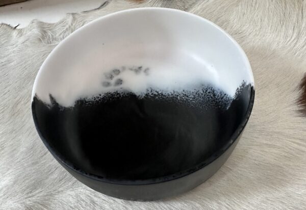 Salad Bowl